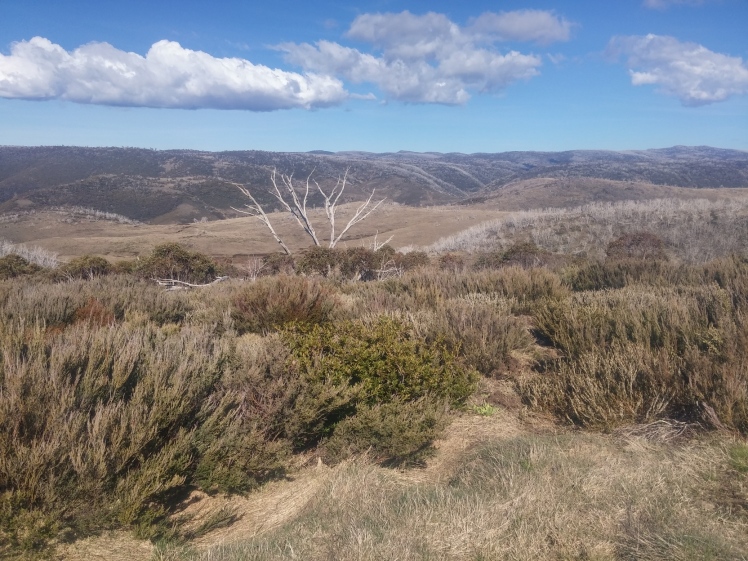 Tumut river valley and Toolong range